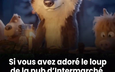 Si vous avez adoré le loup de la publicité Intermarché, vous possédez ces trois traits de personnalité, selon ce psychologue