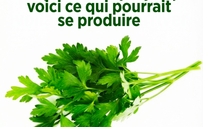 Si vous consommez du persil chaque jour, voici ce qui pourrait se produire