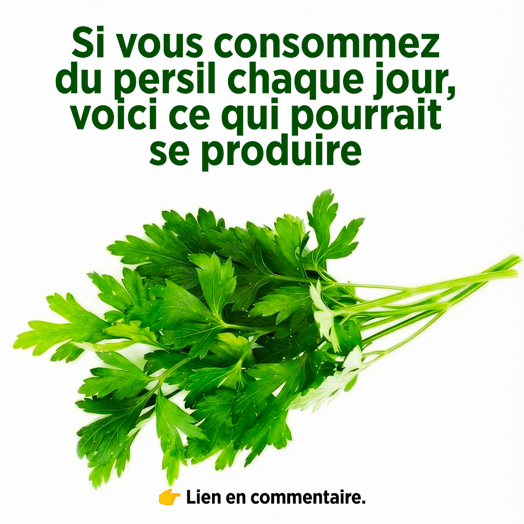 Si vous consommez du persil chaque jour, voici ce qui pourrait se produire