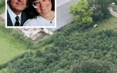 Un mari plante 6 000 arbres en hommage à son épouse disparue — 15 ans plus tard, des photos dévoilent sa véritable motivation