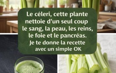 Découvrez la plante qui, en une seule dose, purifie votre sang, régénère votre peau et nettoie en profondeur vos reins, votre foie et votre pancréas