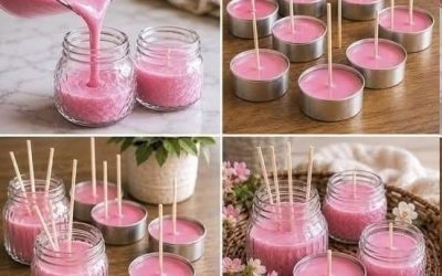 Transformez naturellement l’ambiance de votre maison : la vérité sur les astuces virales en matière de désodorisants d’intérieur