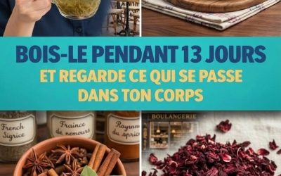 🧉 Recette naturelle pour une lotion tonique purifiante à base de fleurs d’hibiscus, de clous de girofle et de graines d’avocat