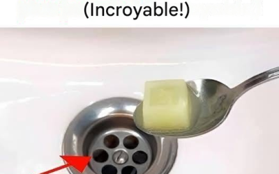 La solution naturelle pour des canalisations impeccables.