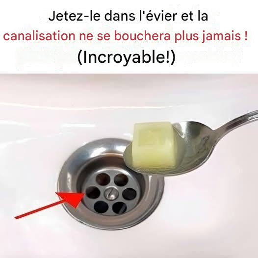La solution naturelle pour des canalisations impeccables.