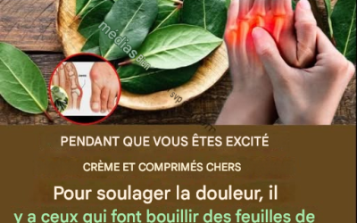 Feuilles de laurier contre les douleurs articulaires et la mauvaise circulation : un remède ancestral remis au goût du jour.