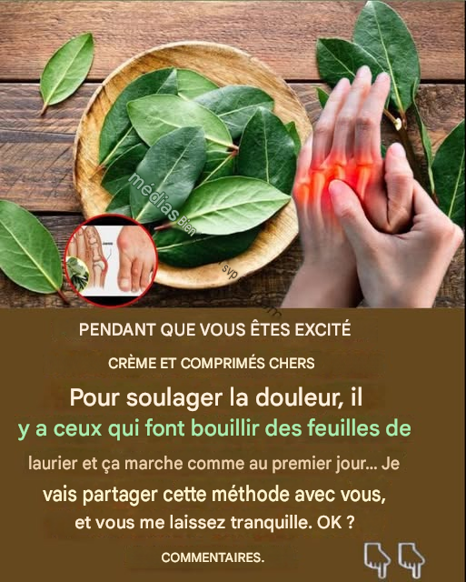 Feuilles de laurier contre les douleurs articulaires et la mauvaise circulation : un remède ancestral remis au goût du jour.