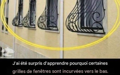 Le secret des vitres « ventrales » : la fonction et le style des grilles courbes