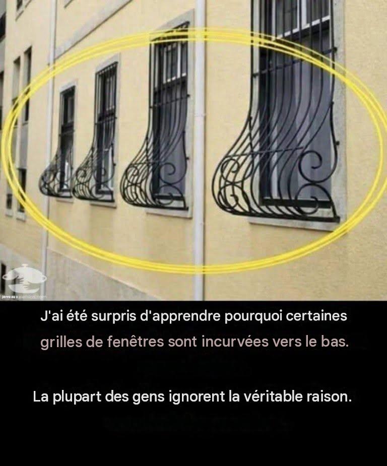 Le secret des vitres « ventrales » : la fonction et le style des grilles courbes